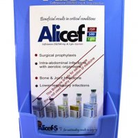 brochure stand